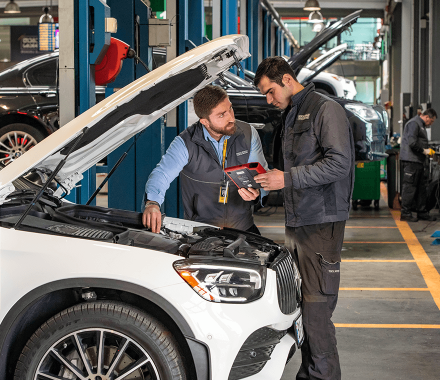 მსუბუქი ავტომობილების მიმართულება